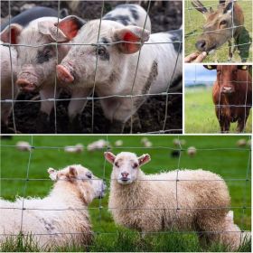 Farm Fence 3ft x 164ft 14Gauge Heavy Zinc Coating Cattle Fence,Galvanized Field Wire Fencing Deer Fence,Goat Fence